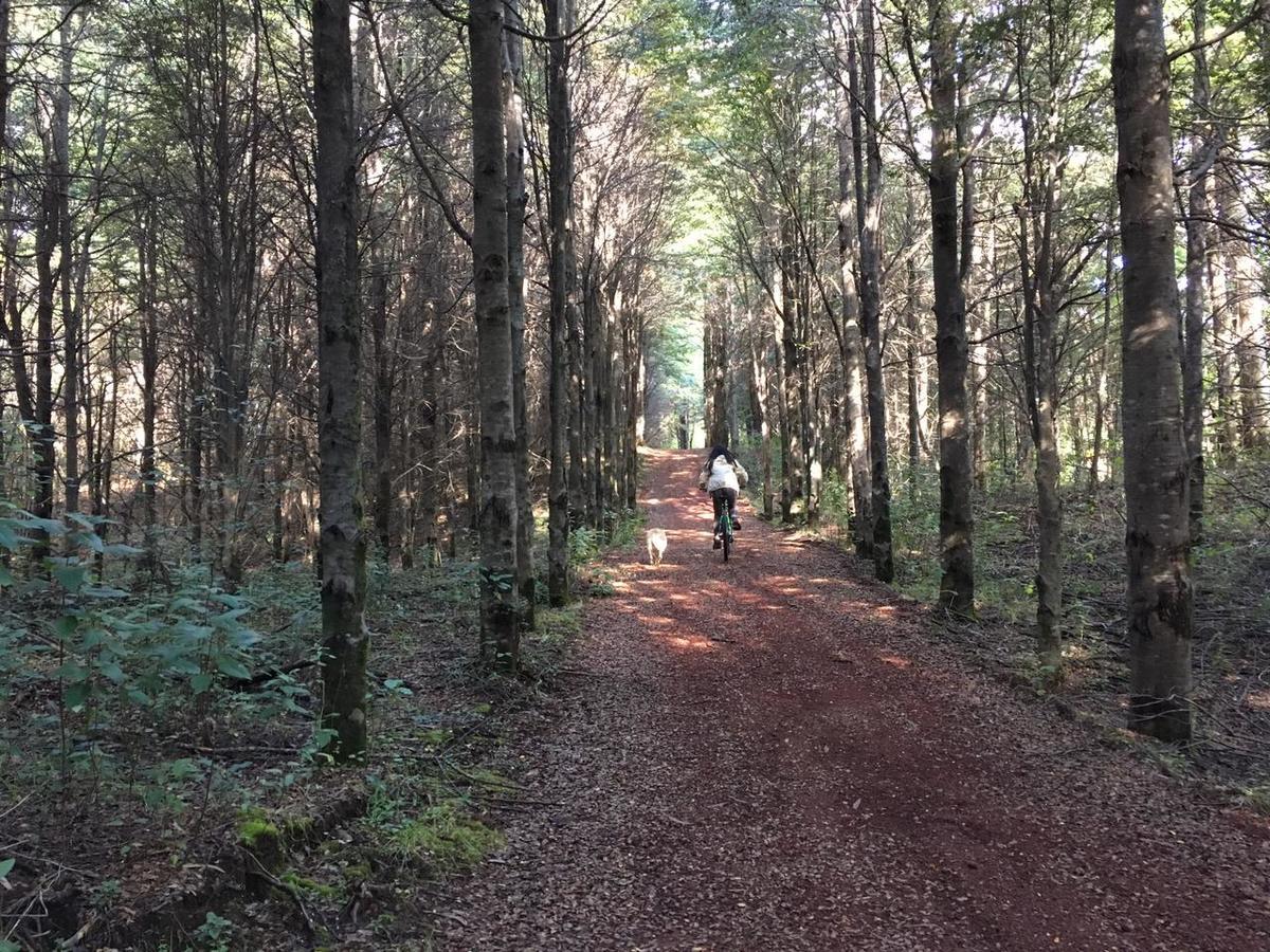 Treca Rupan Lodge Neltume Buitenkant foto